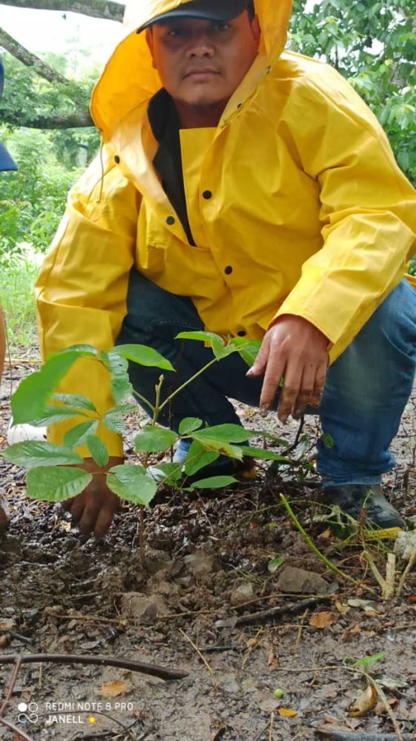 reforestacion-san-dionisio