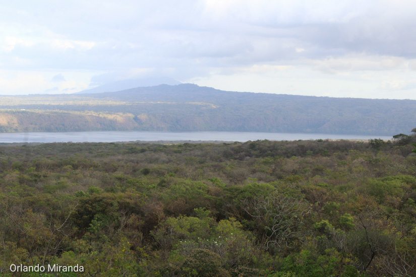 restaurante-el-balcon