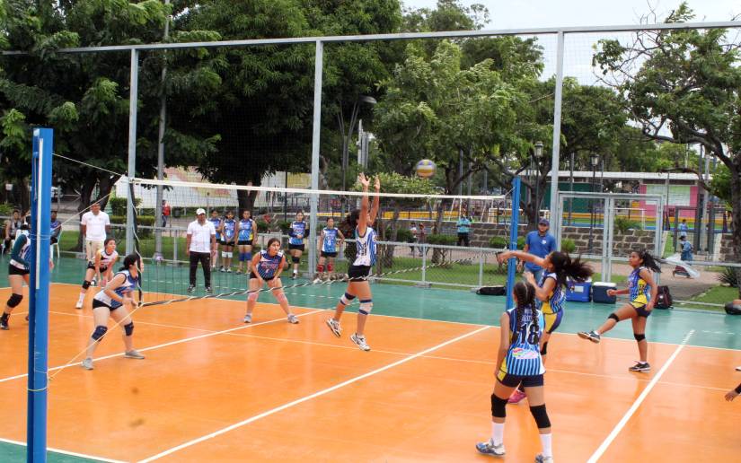 Voleibol