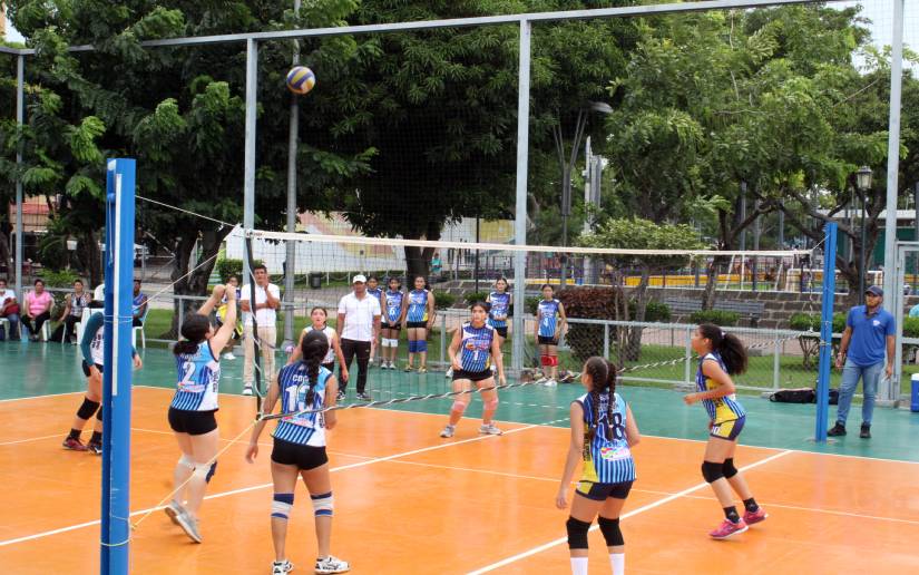 Voleibol