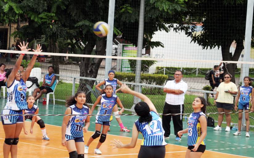 Voleibol