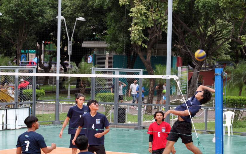 Voleibol