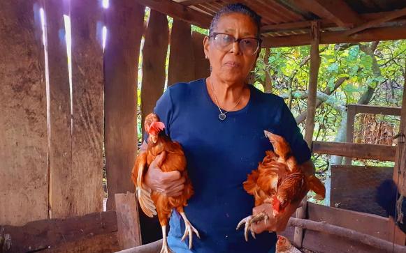 granja