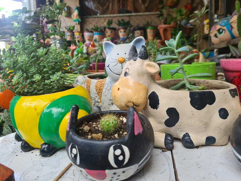 jardines