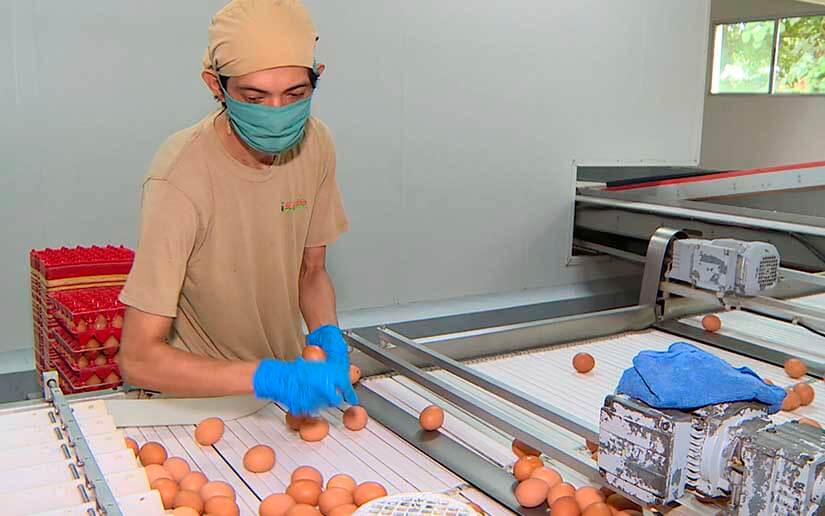 HUEVOS