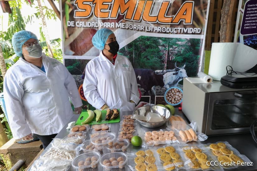inta