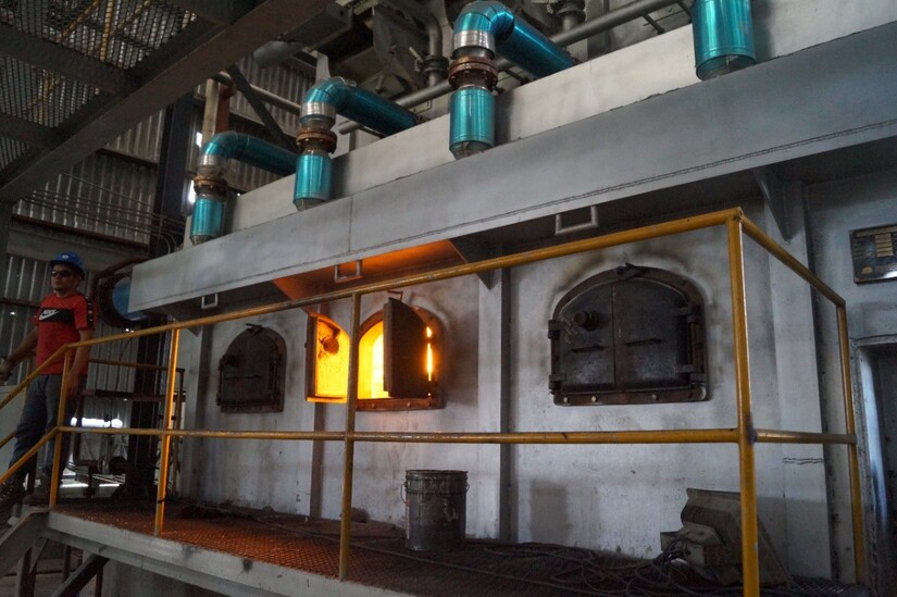 ACEITE