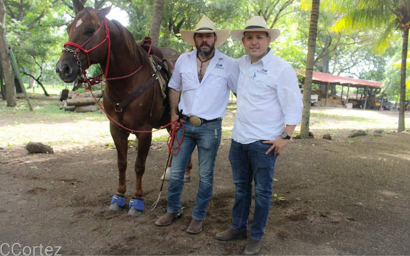toros