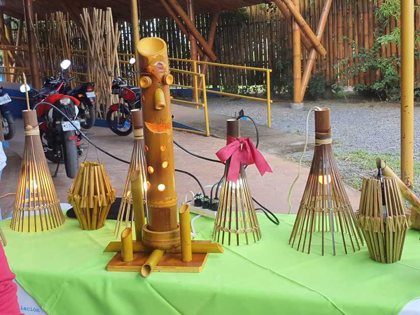 bambu