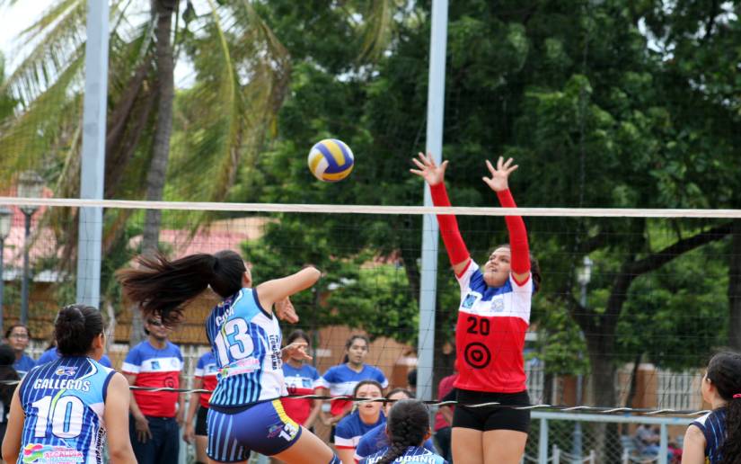 voleibol