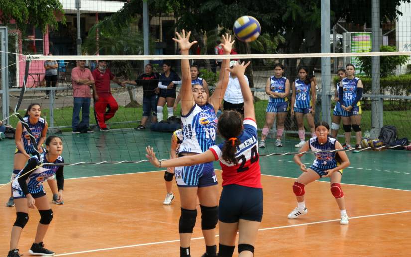 voleibol