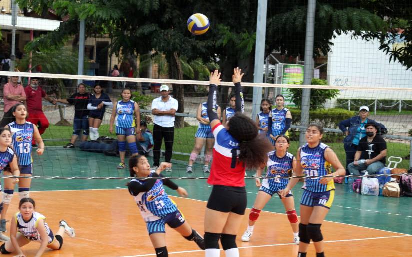 voleibol