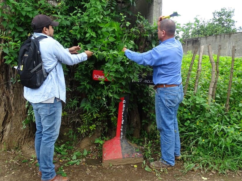 MASAYA