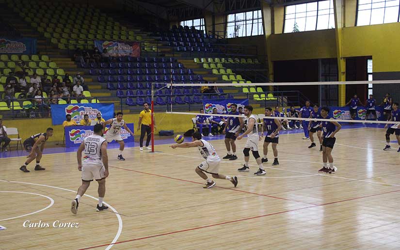 voleibol