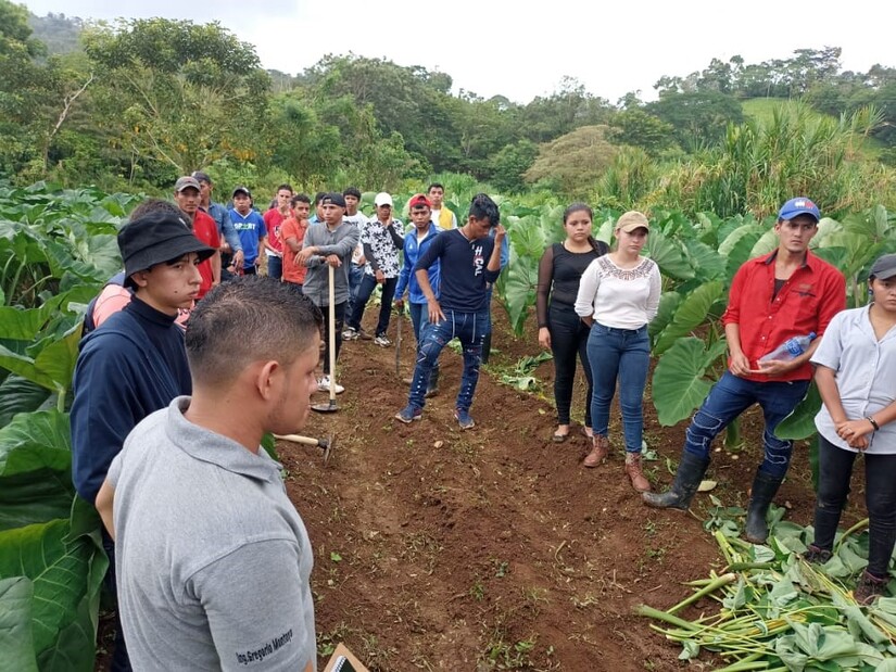 agro