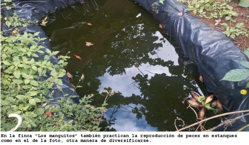 climatico