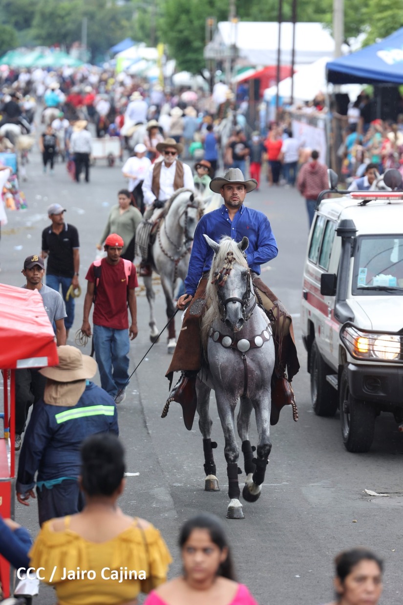 hipico