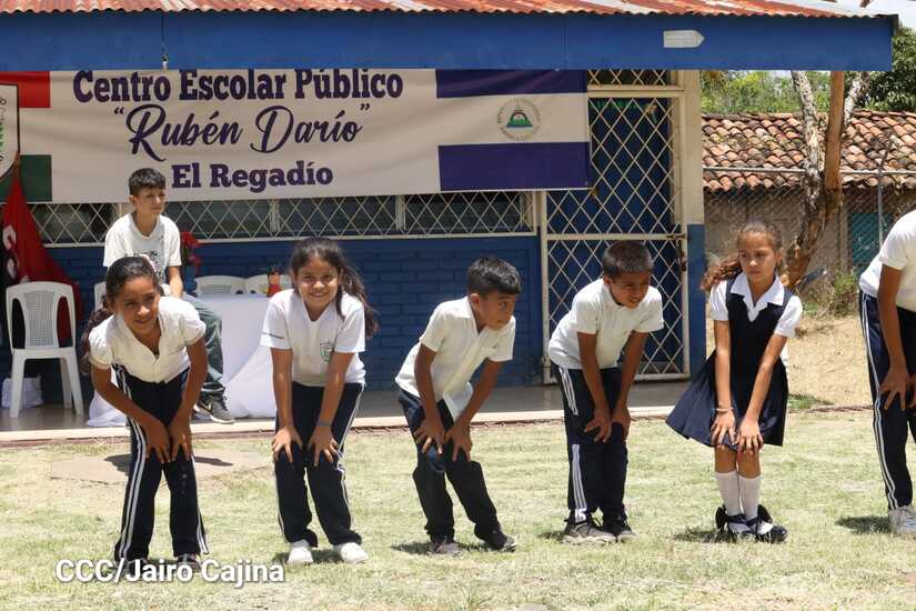 esteli