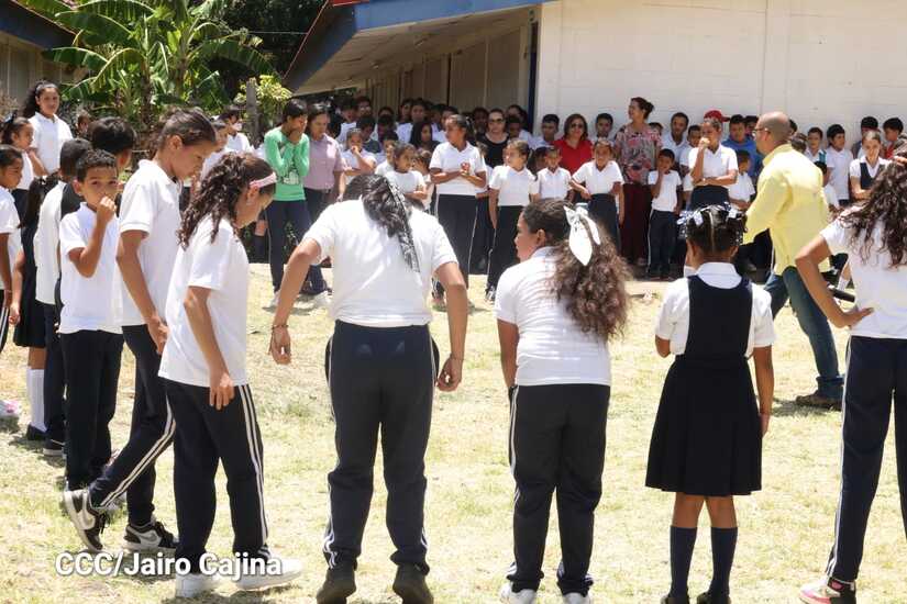 esteli