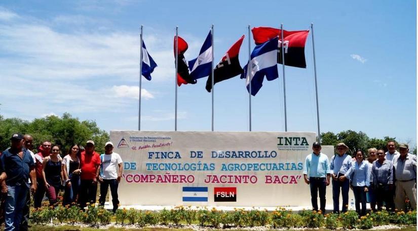 finca
