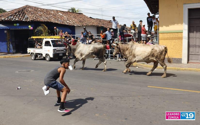 toros-granada