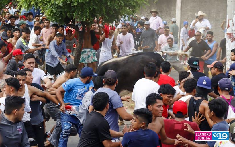 toros-granada