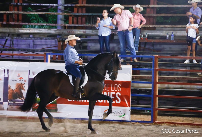 FERIA