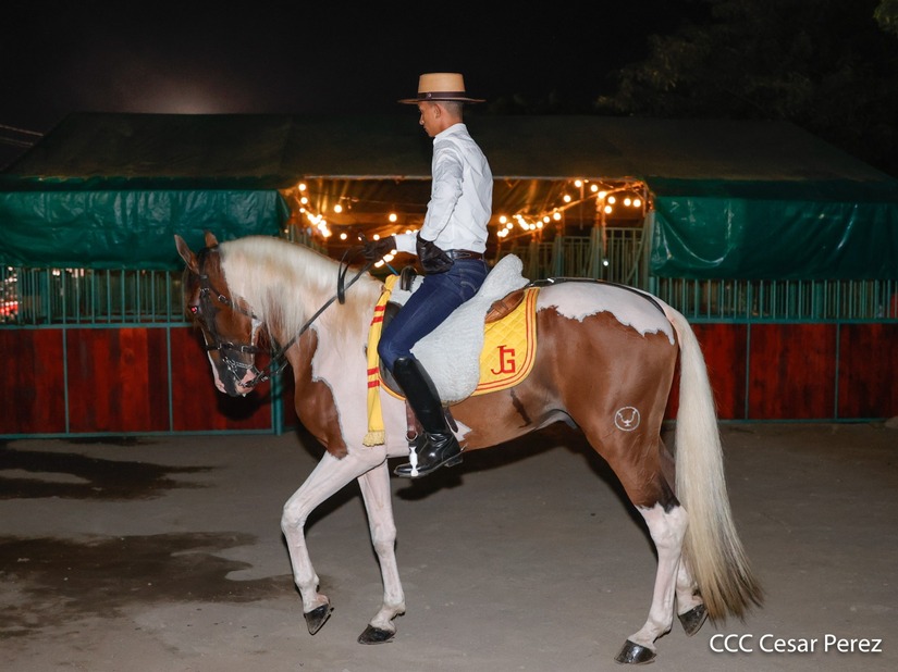 FERIA