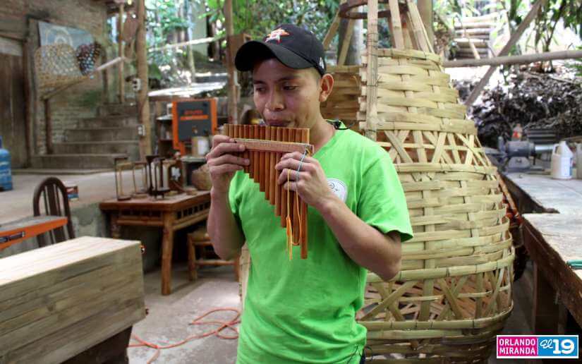 bambu
