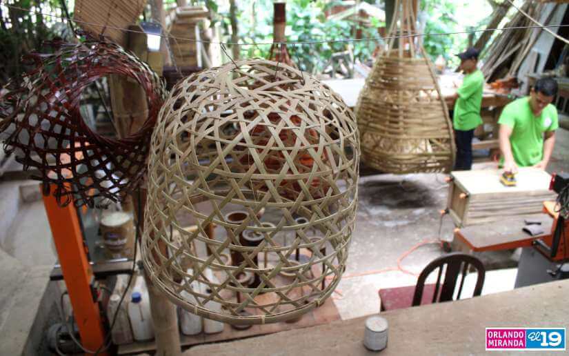 bambu