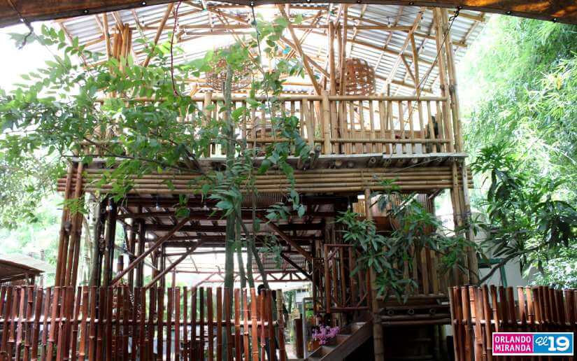 bambu