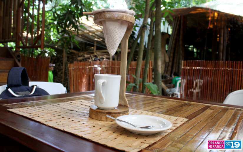 bambu