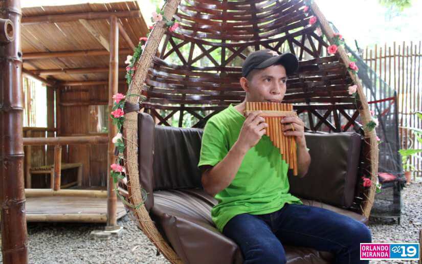 bambu