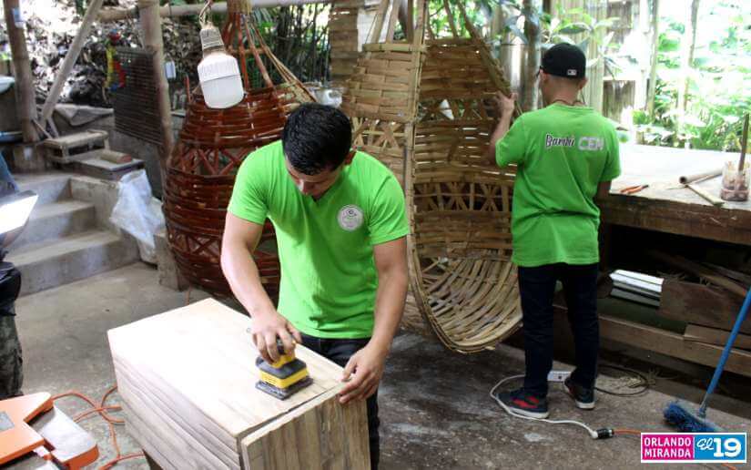bambu