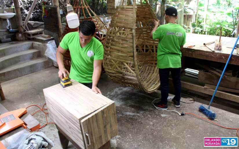 bambu
