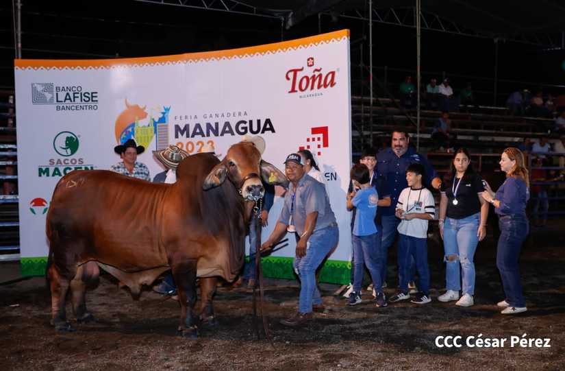 feria