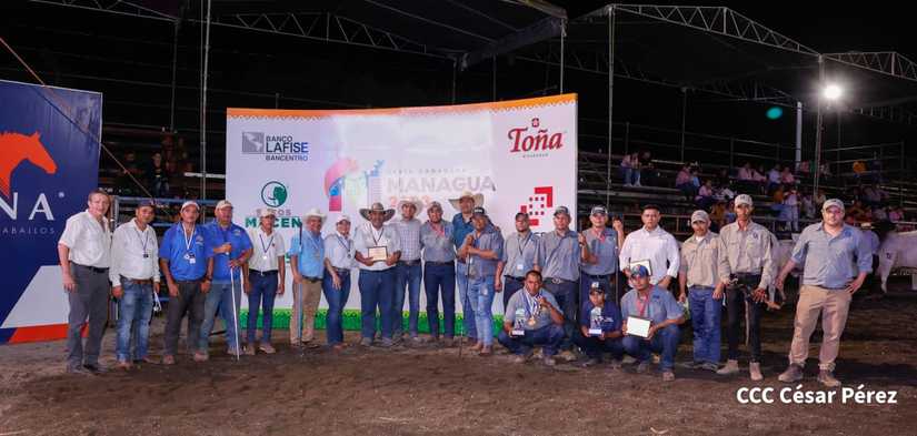 feria