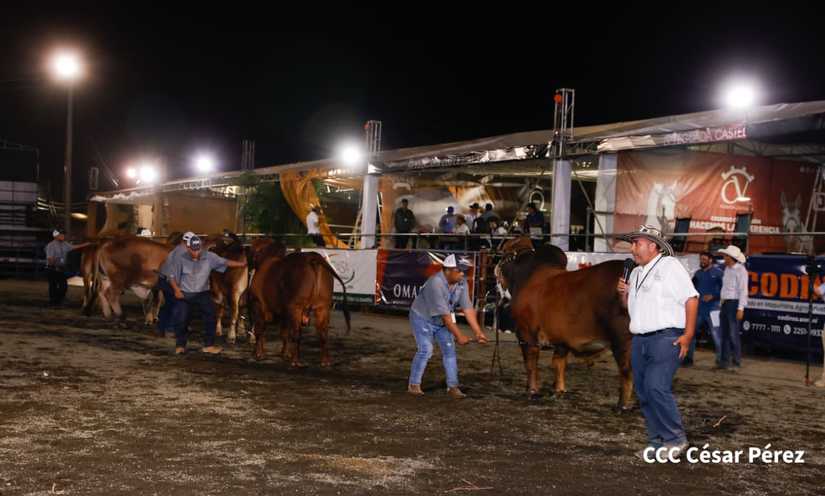 feria