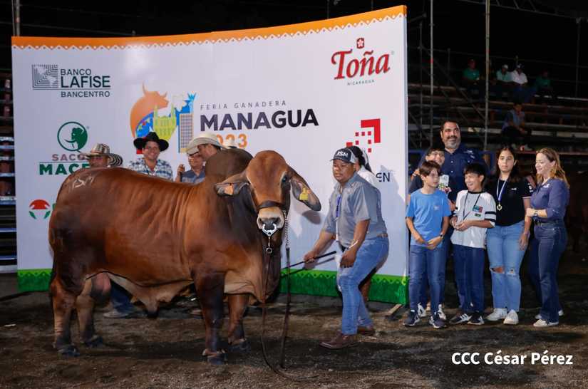 feria