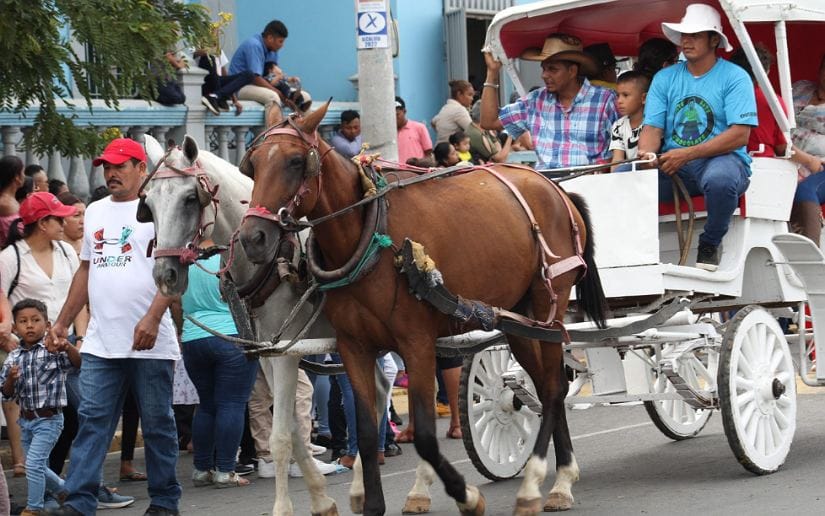 DESFILE