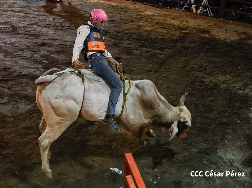 feria