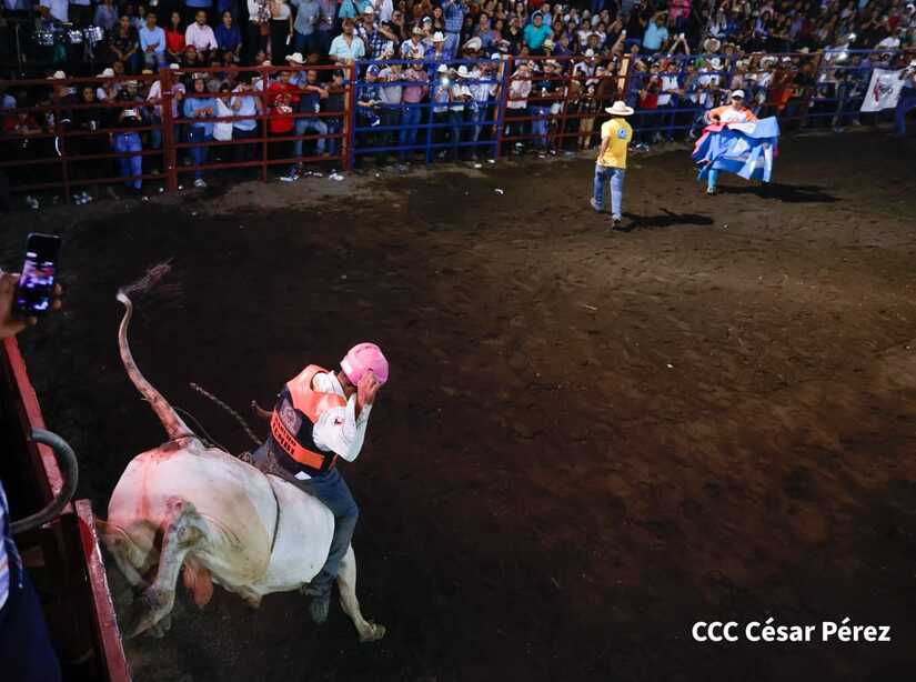 feria