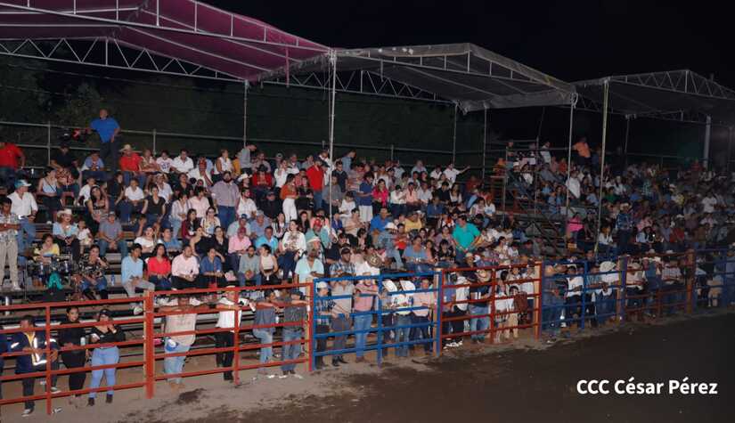 feria