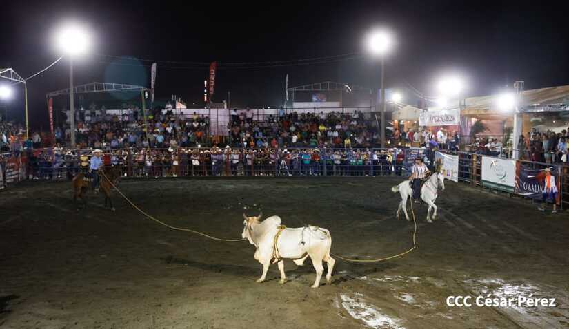 feria