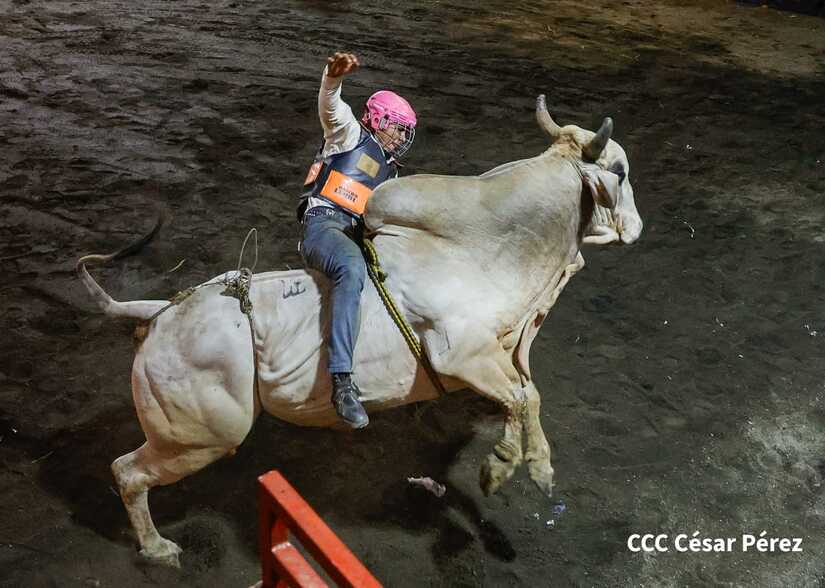 feria
