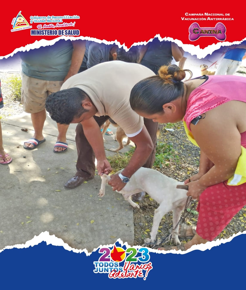 CANINA