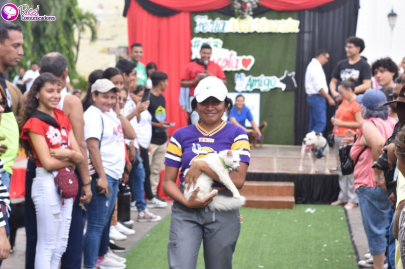 MASCOTAS