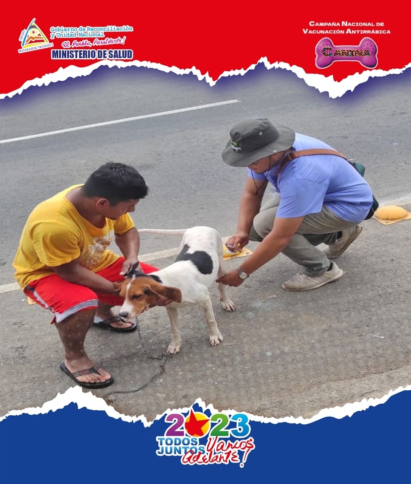 PERRO