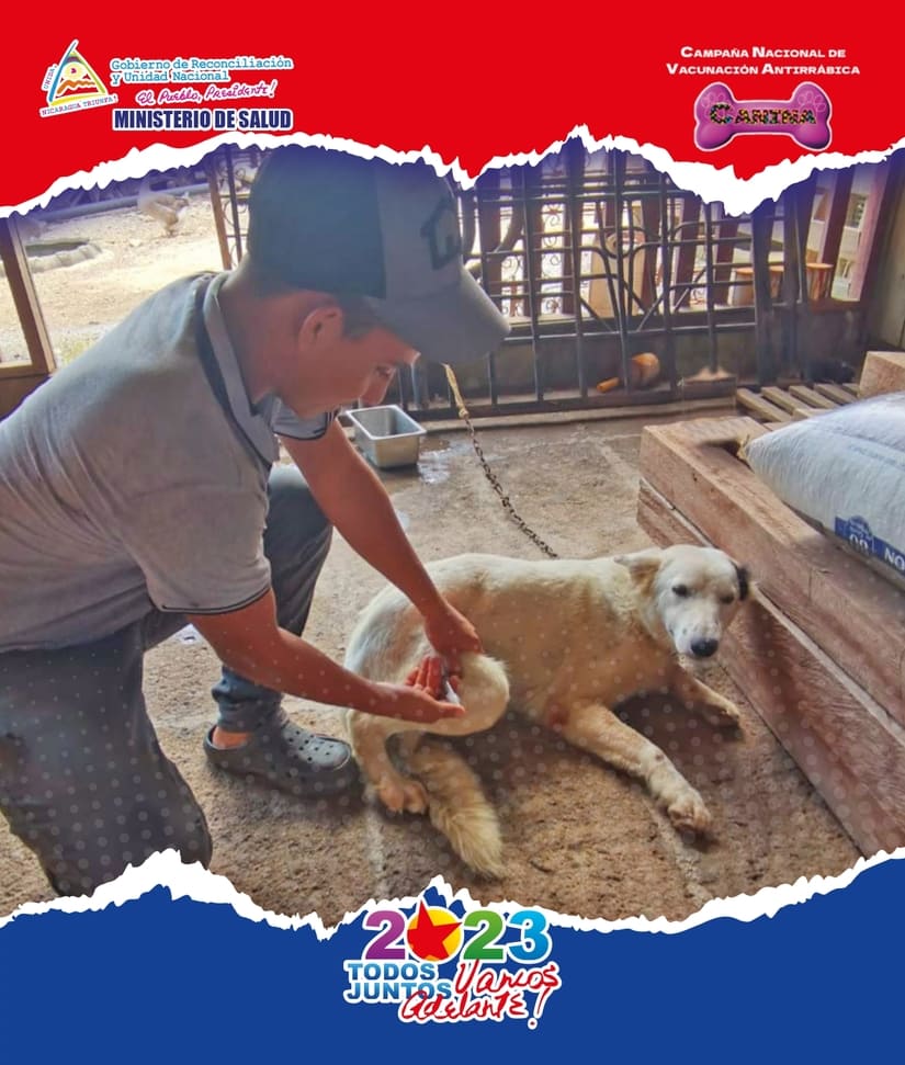 PERRO