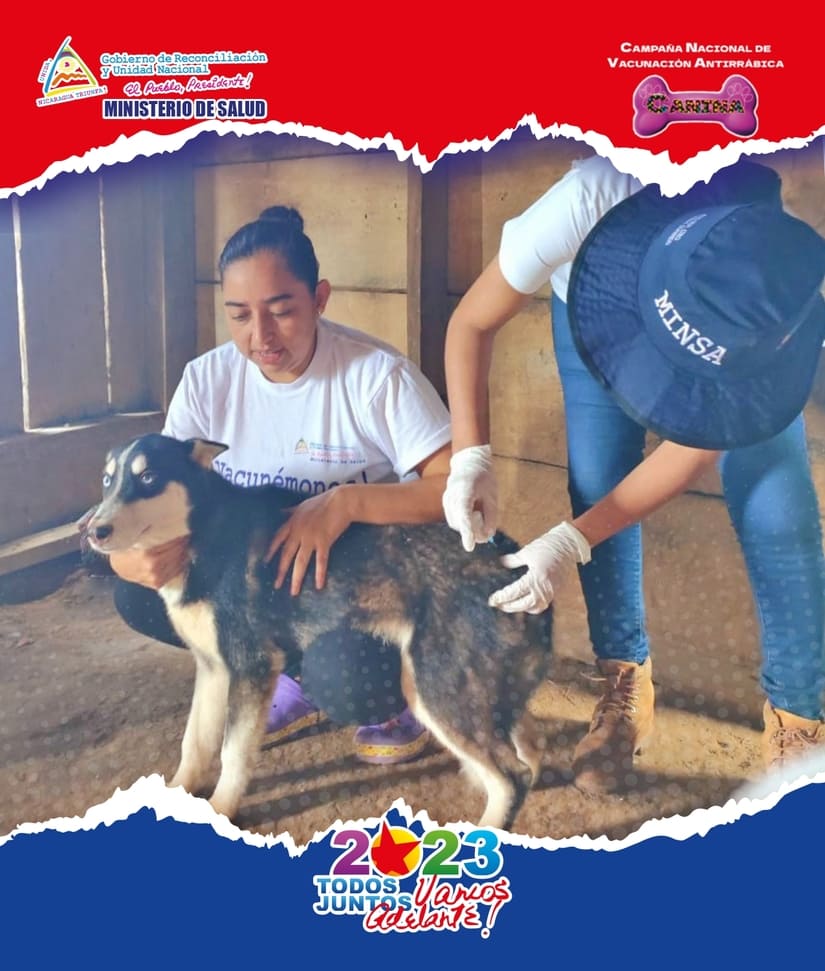 PERRO